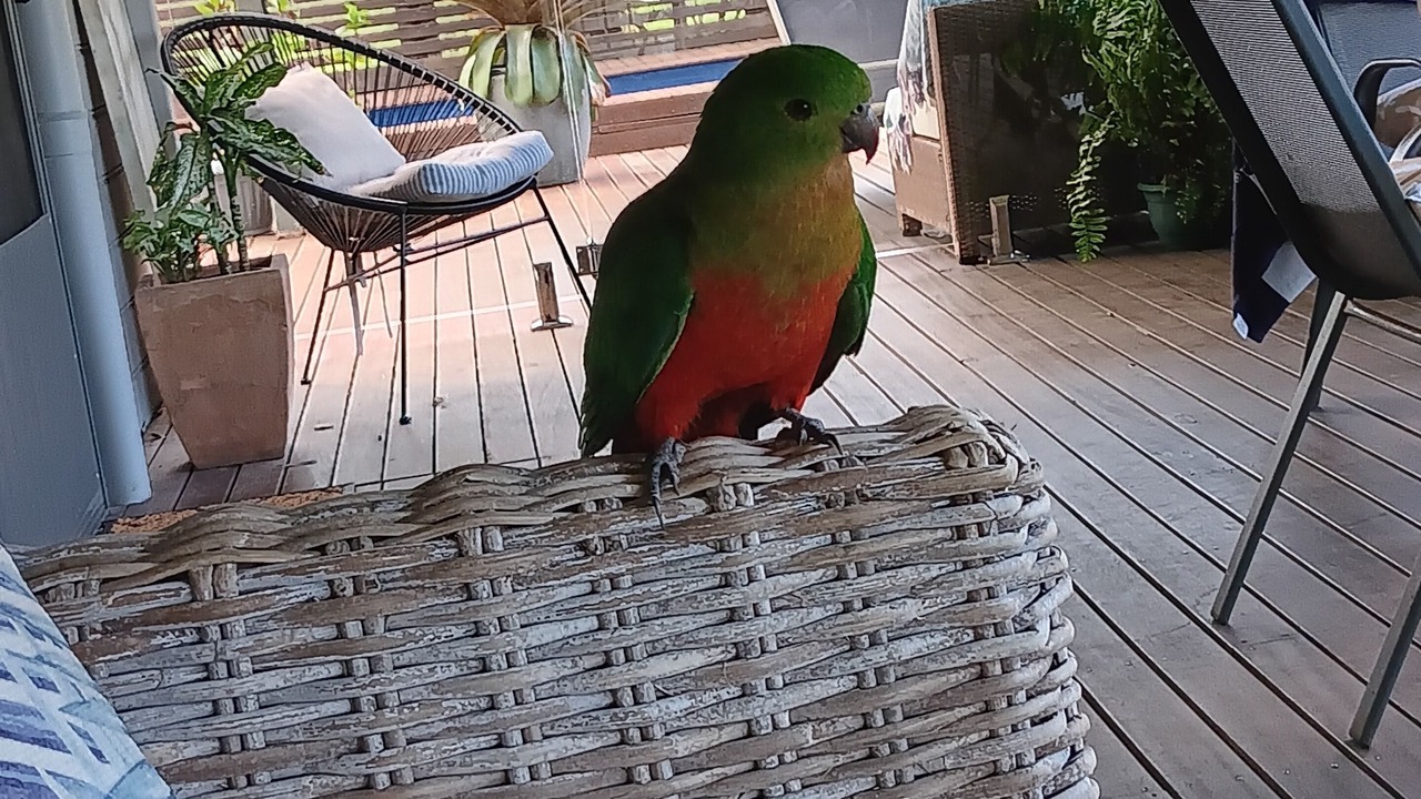 Photo of Patio Balcony in Crescent Head
