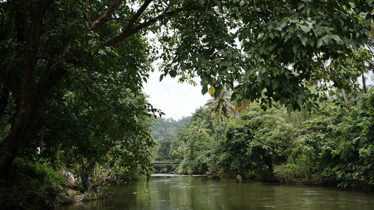Photo of Outdoor in Irinjalakuda