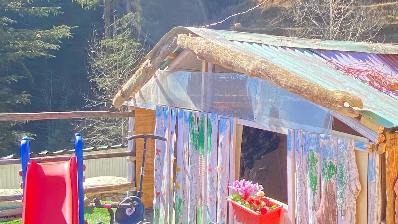 Photo of Others in Shimla