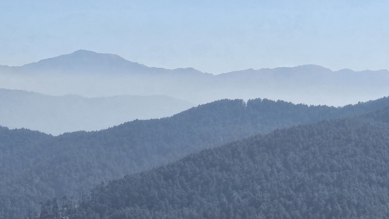 Photo of Others in Shimla