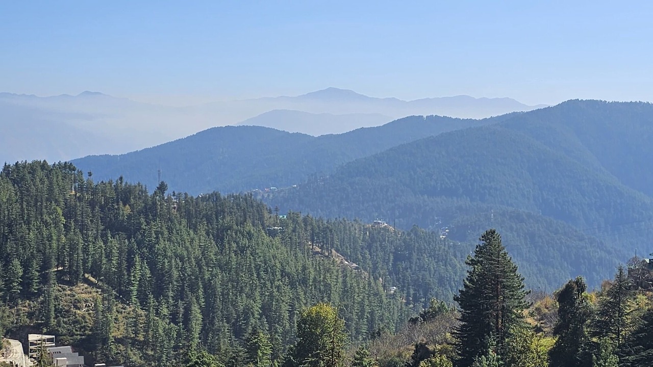 Photo of Others in Shimla