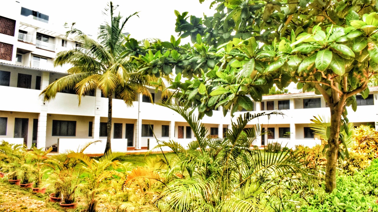 Photo of Outdoor in Awas