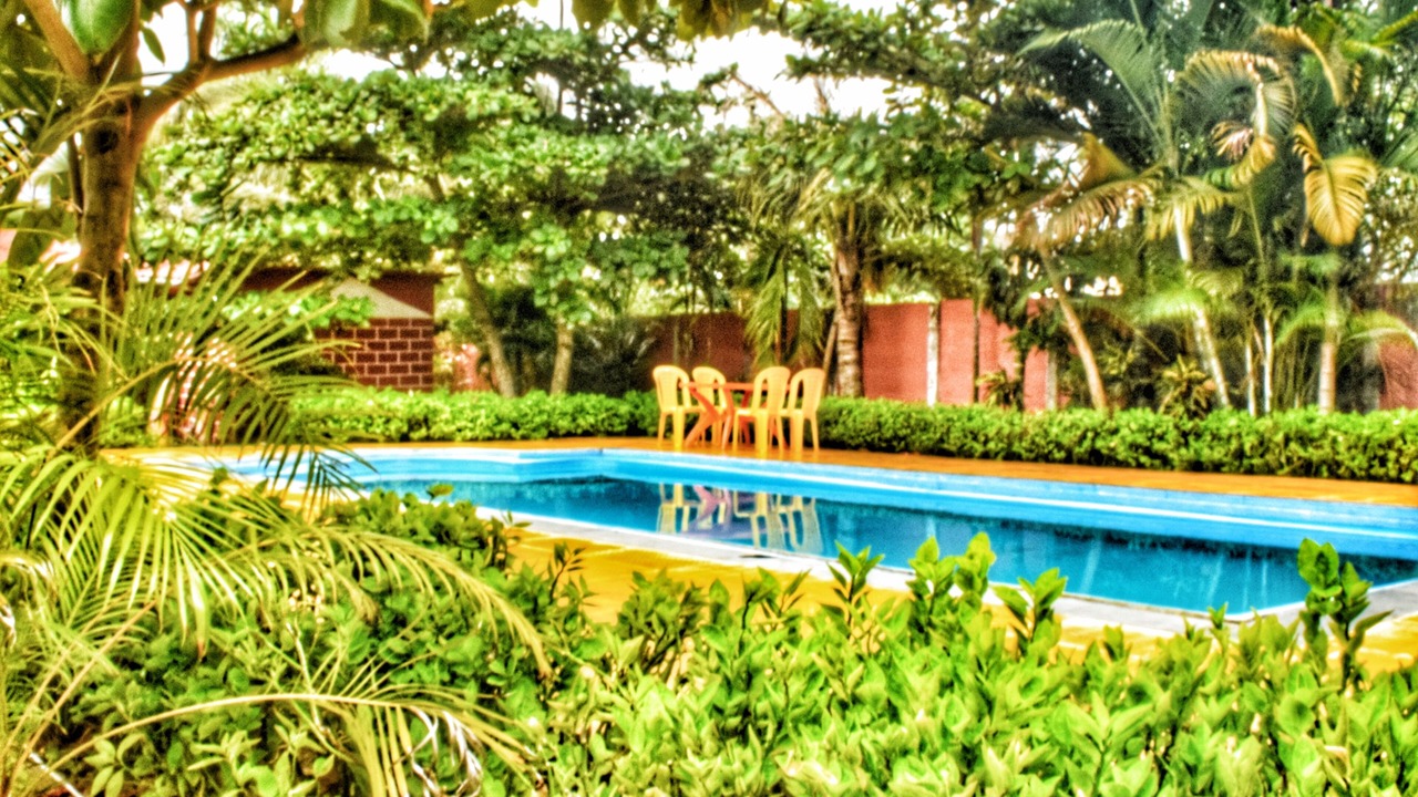 Photo of Outdoor in Awas