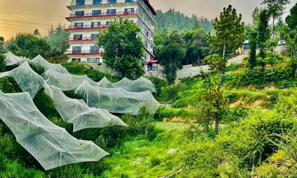 Photo of Others in Shilon Bagh