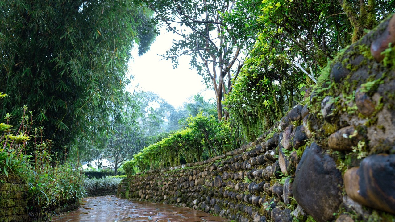 Photo of Others in Devikolam