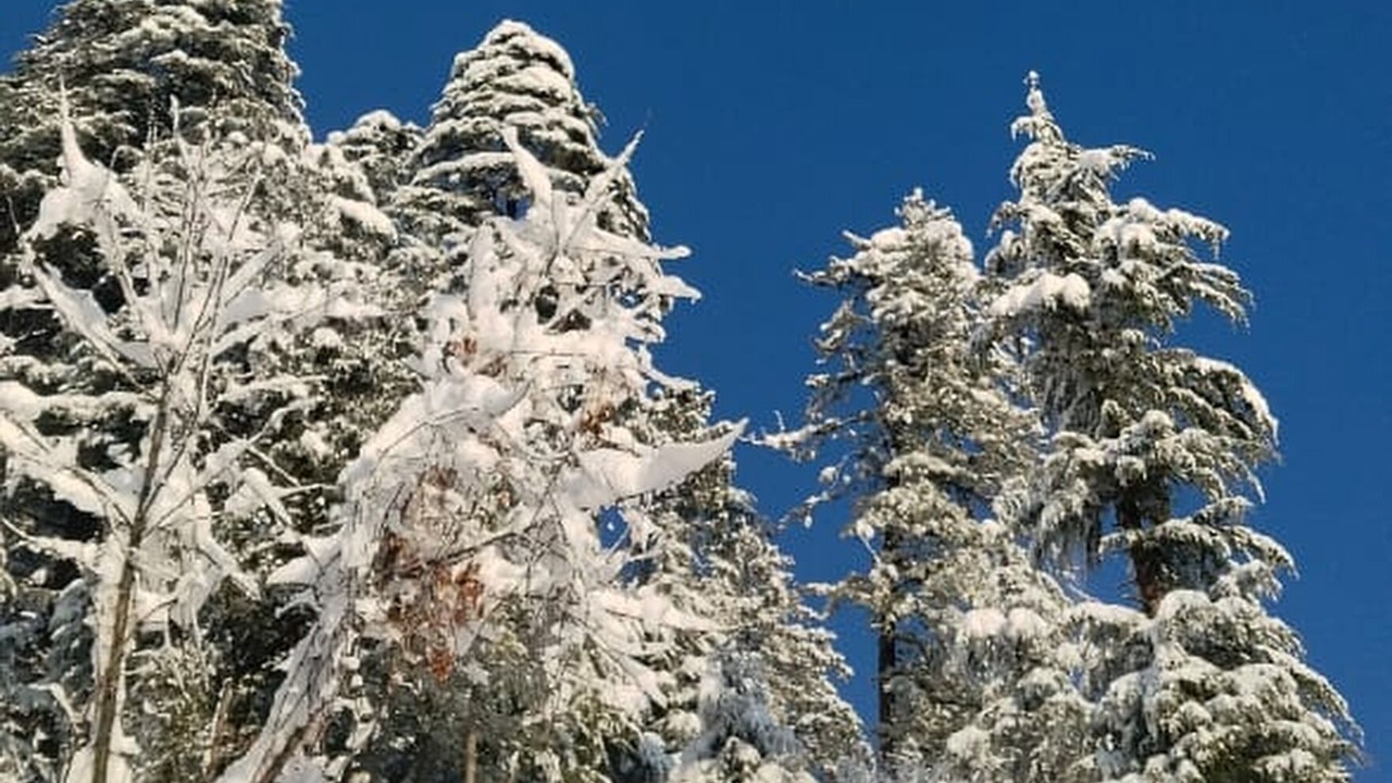 Photo of Outdoor in Kullu