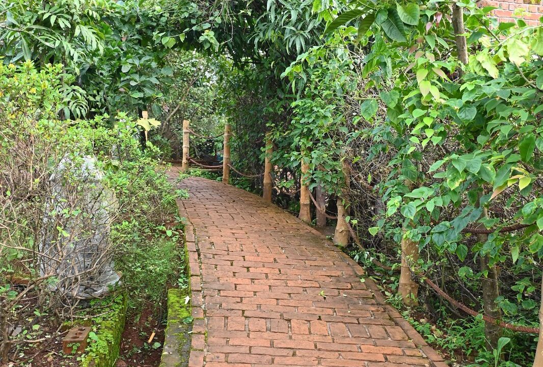 Photo of Outdoor in Saiv Kh