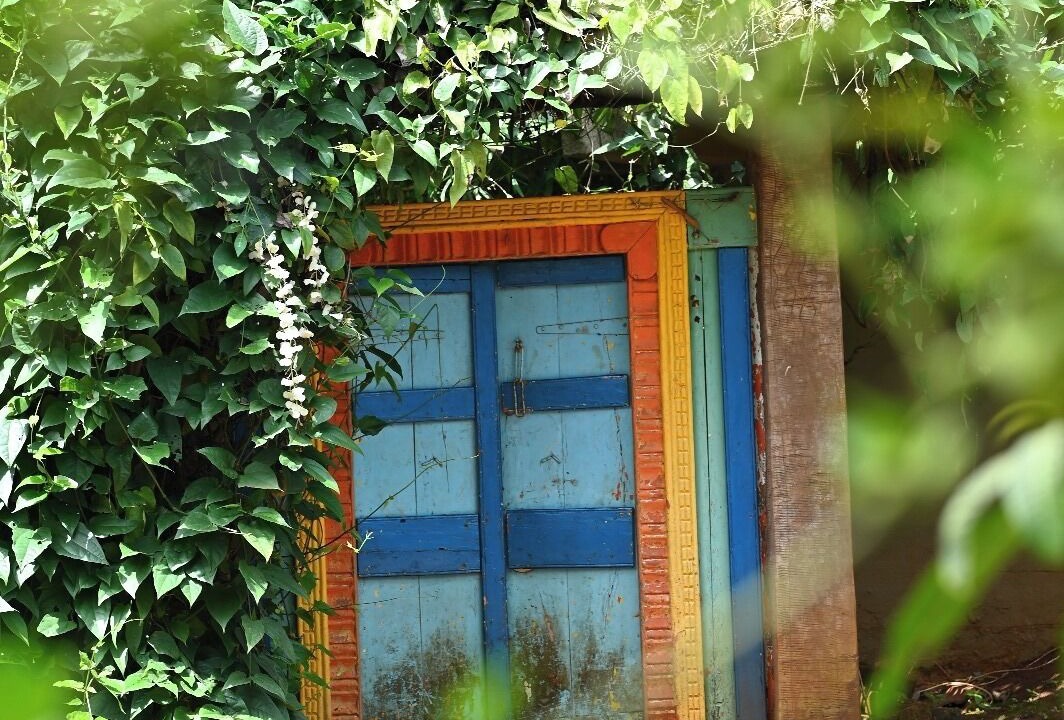 Photo of Outdoor in Saiv Kh