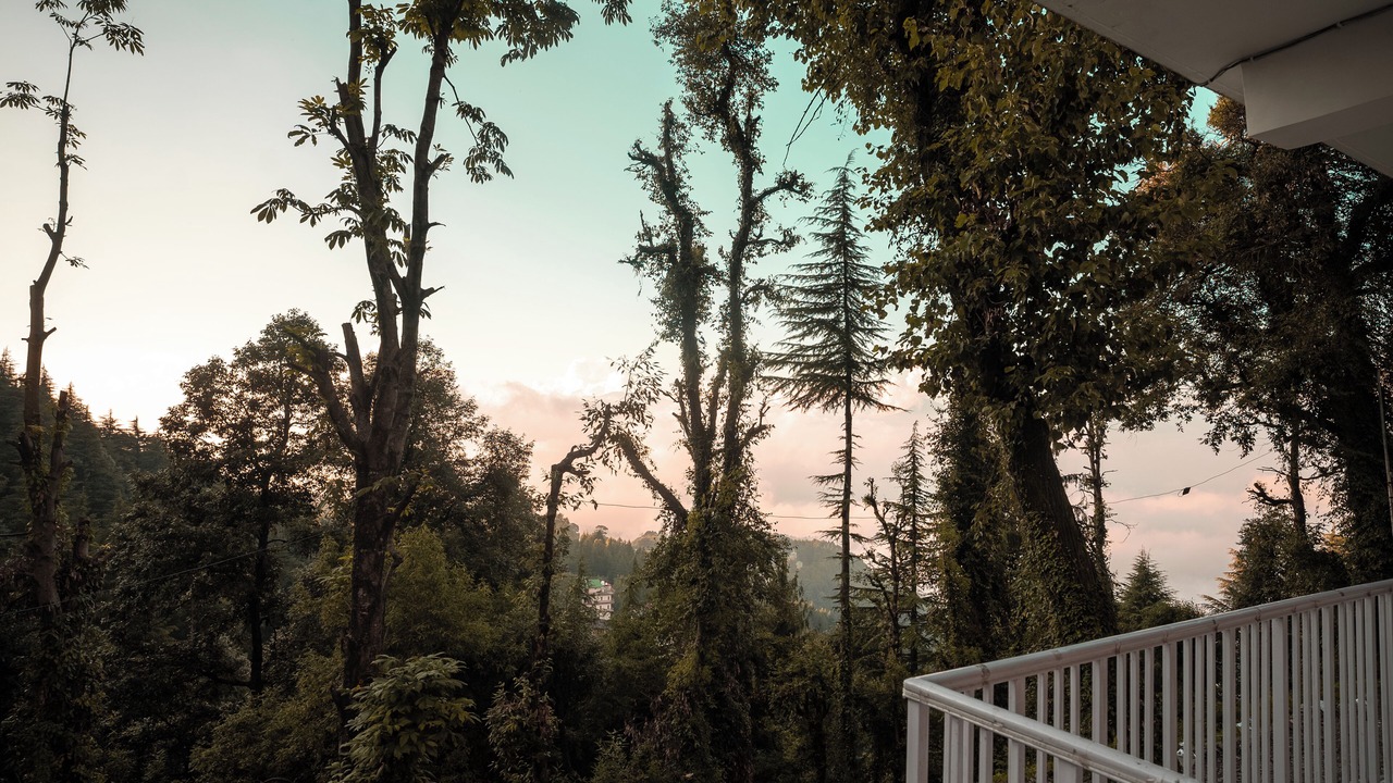 Photo of Outdoor in Dalhousie