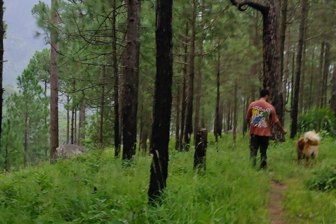 Photo of Outdoor in Dunda
