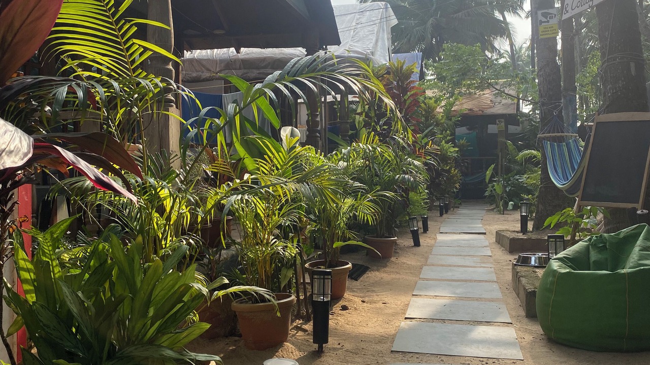Photo of Outdoor in Palolem