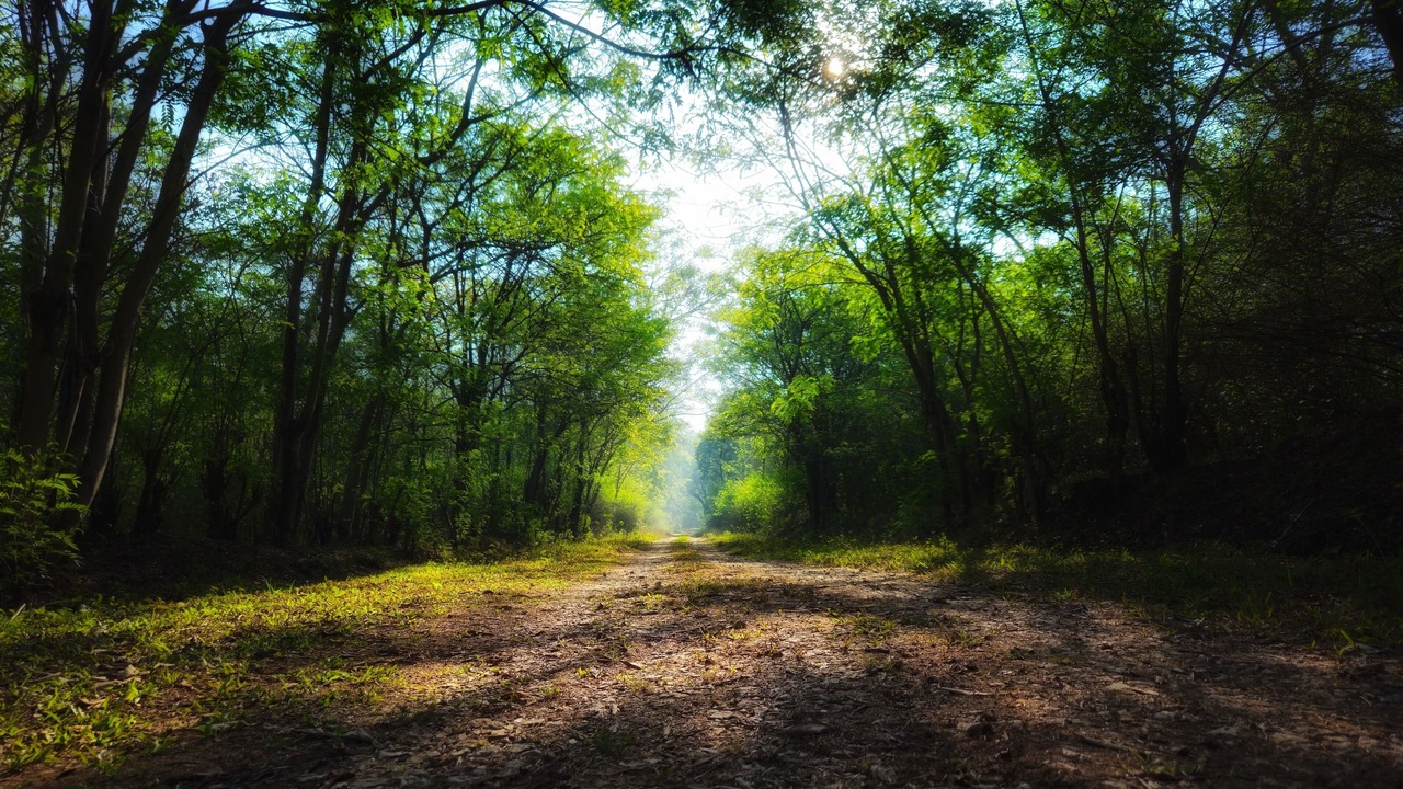 Photo of Outdoor in Chikkamagaluru