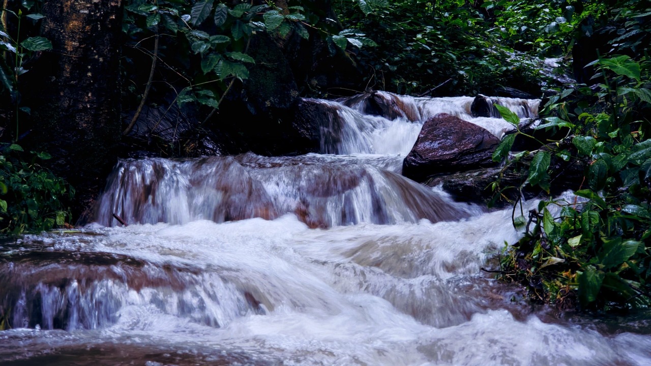 Photo of Outdoor in Chikkamagaluru