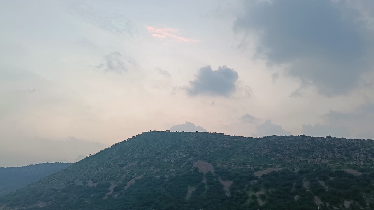 Photo of Others in Alwar