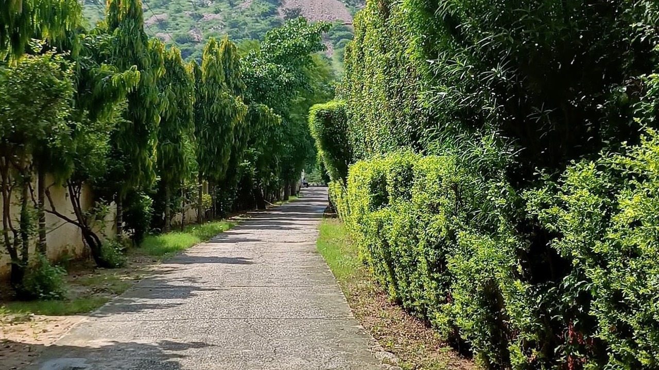 Photo of Outdoor in Alwar