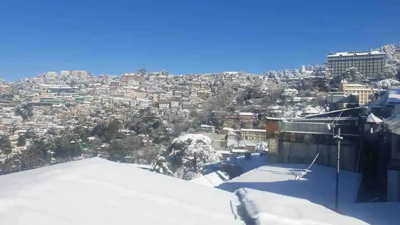 Photo of Others in Shimla