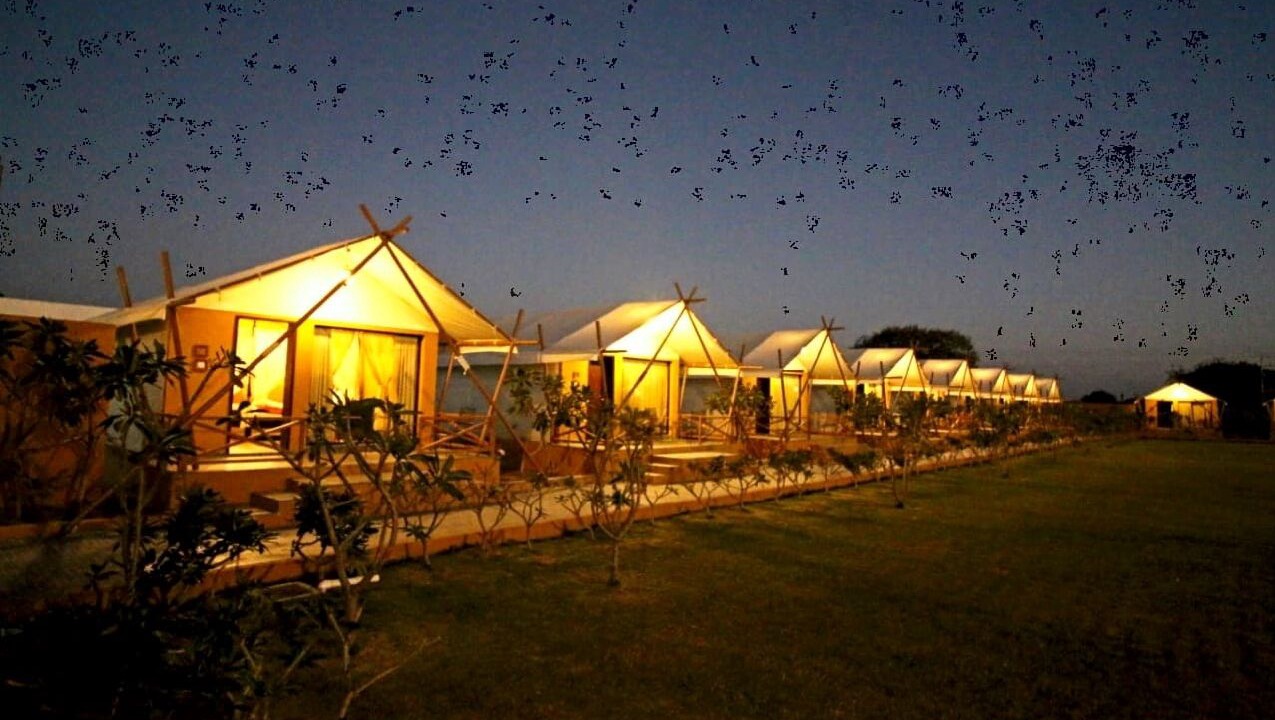 Photo of Outdoor in Kalavad