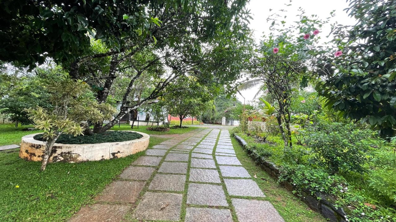 Photo of Outdoor in Devikolam