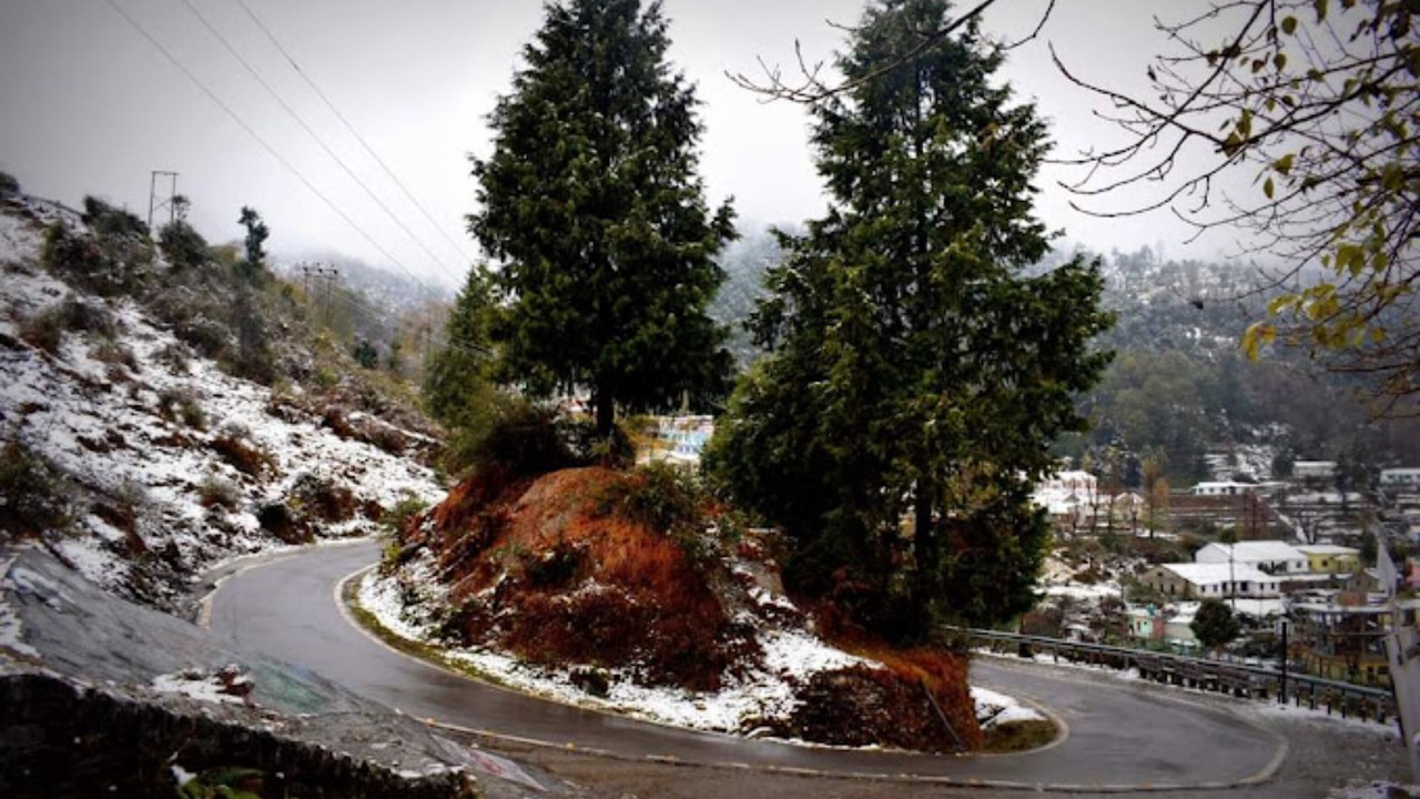 Photo of Others in Munsyari