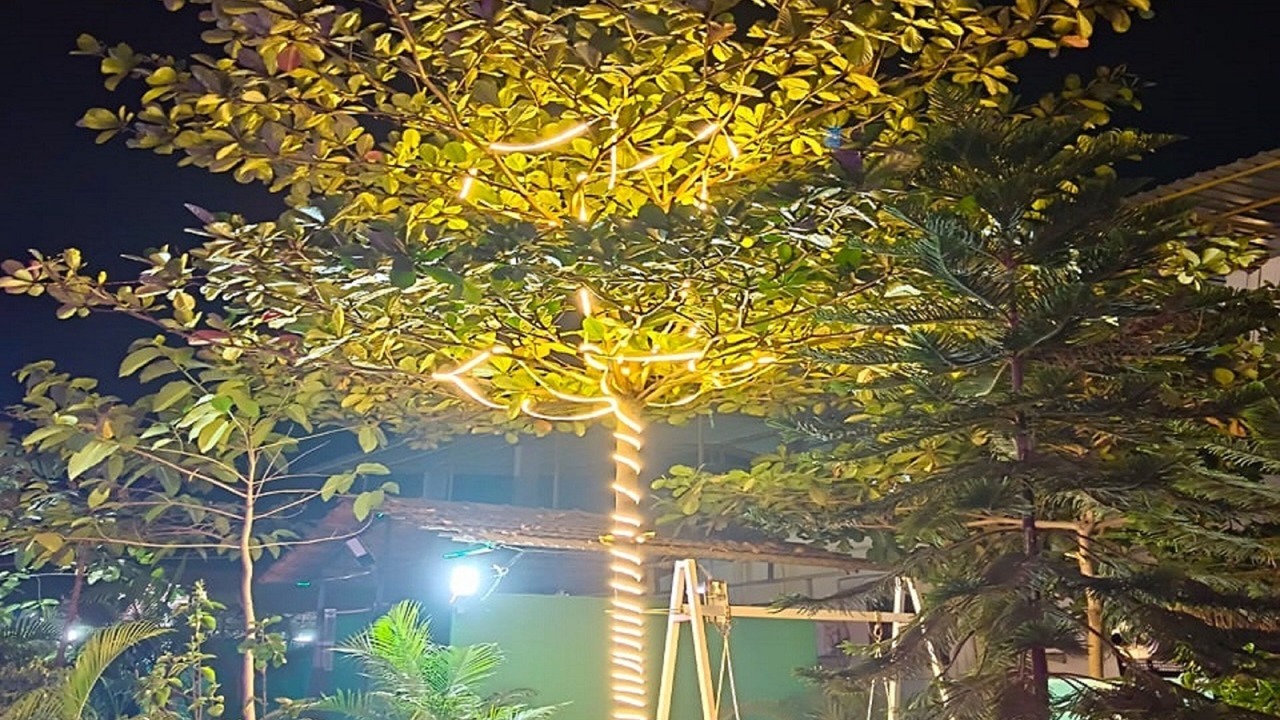 Photo of Outdoor in Kandroli Tarf Wankhal