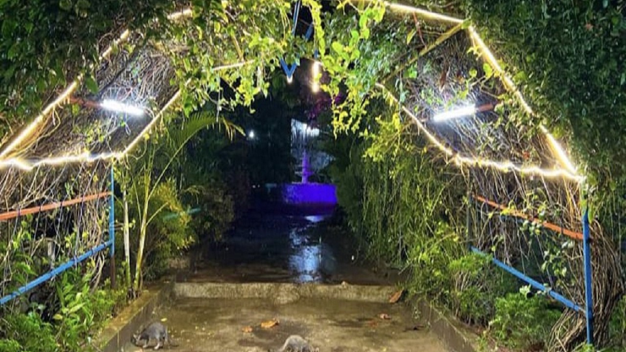 Photo of Outdoor in Kandroli Tarf Wankhal
