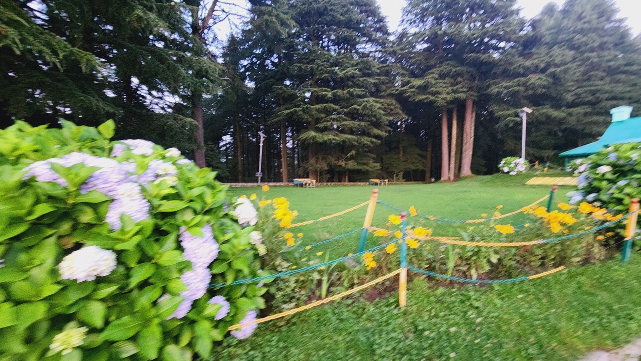 Photo of Outdoor in Dalhousie