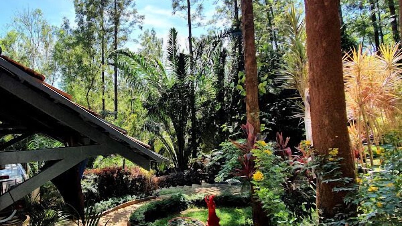 Photo of Outdoor in Chikkamagaluru