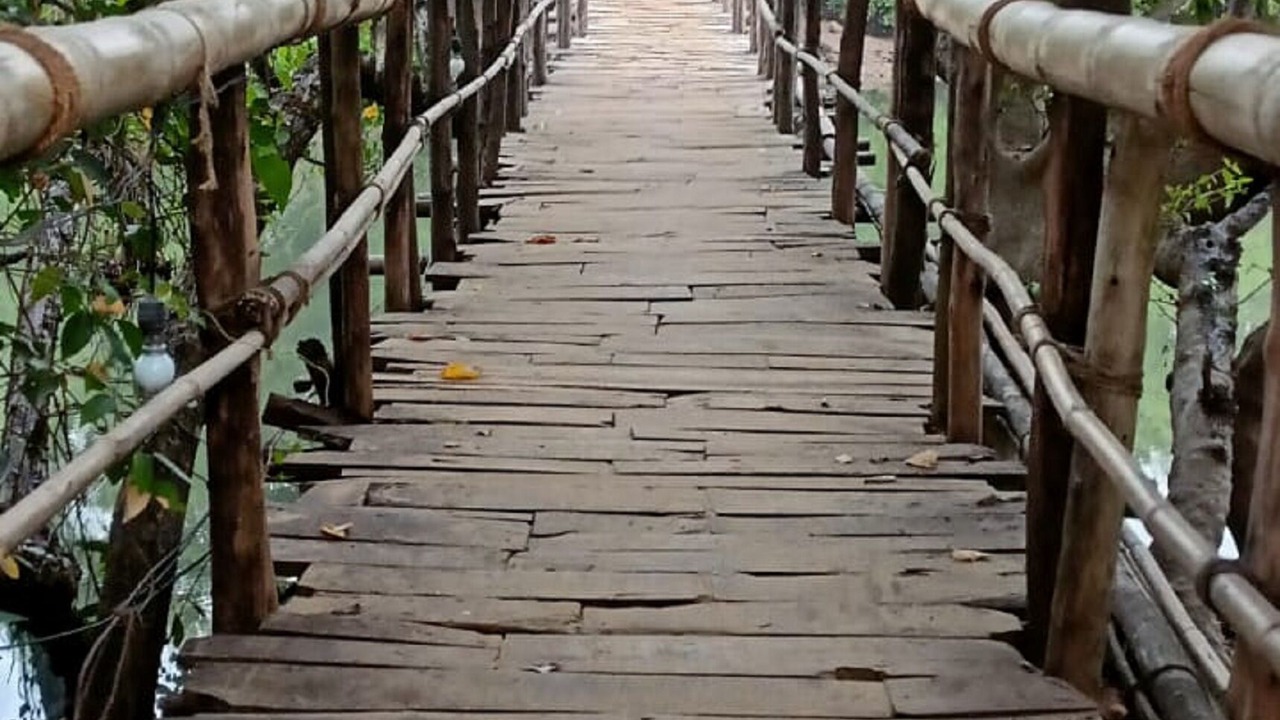 Photo of Outdoor in Mandrem