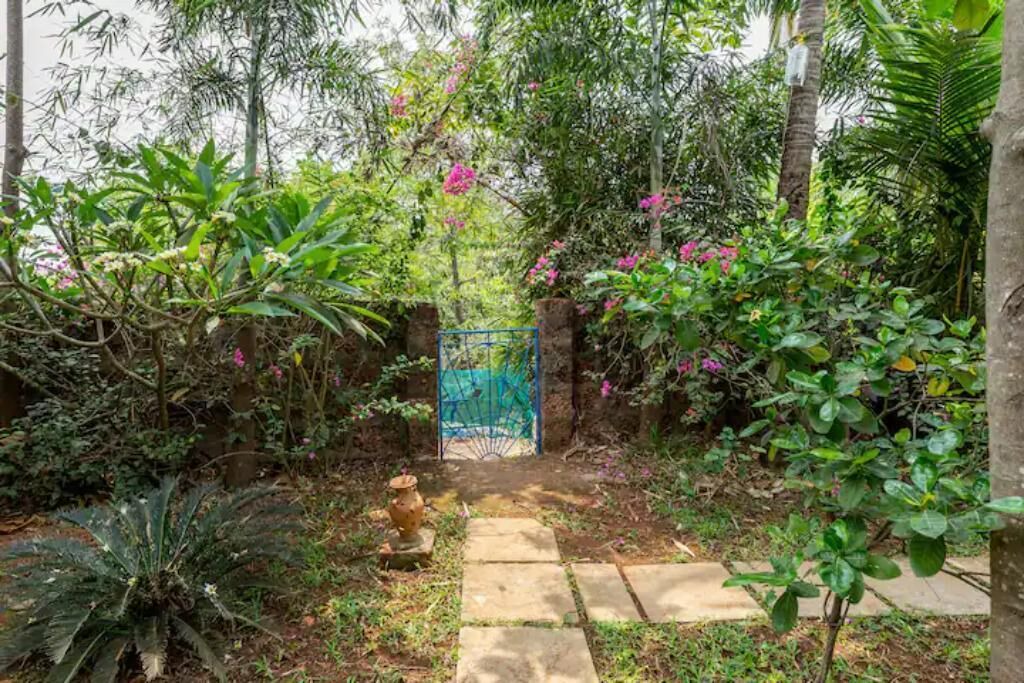 Photo of Outdoor in Morjim
