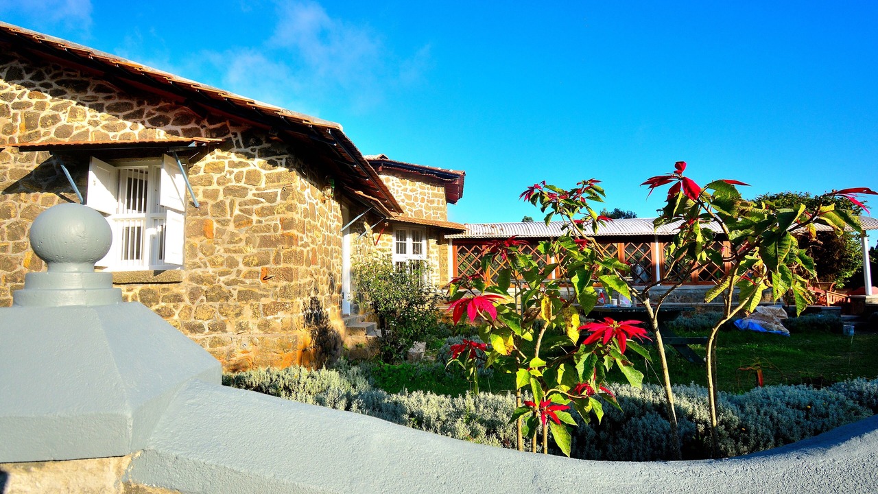 Photo of Outdoor in Kodaikanal