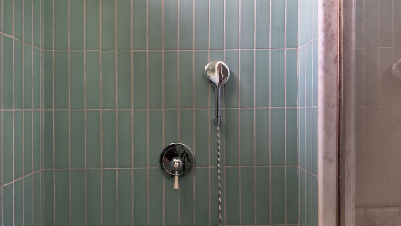 Photo of Bathroom in Udaipur City Centre