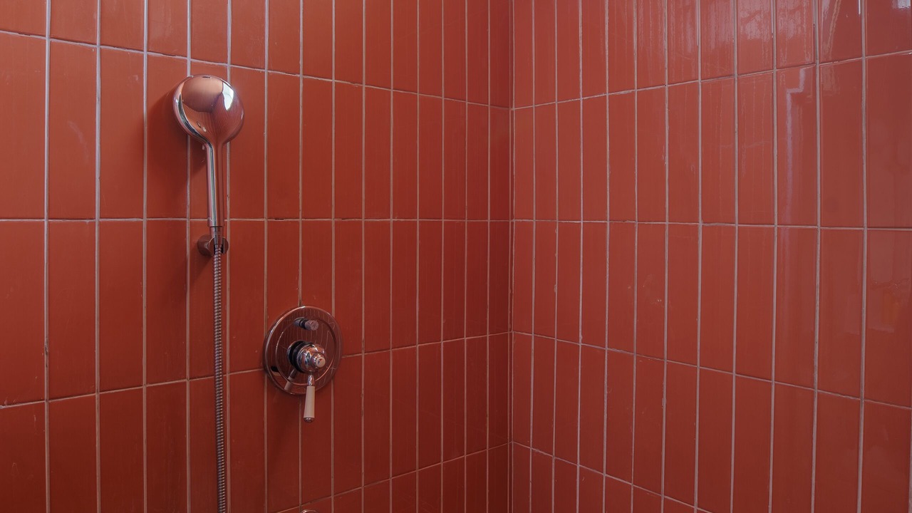 Photo of Bathroom in Udaipur City Centre