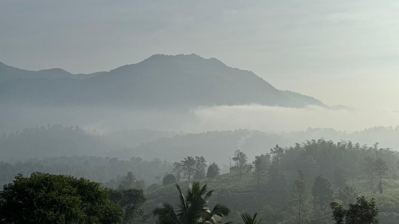Photo of Outdoor in Kalpetta