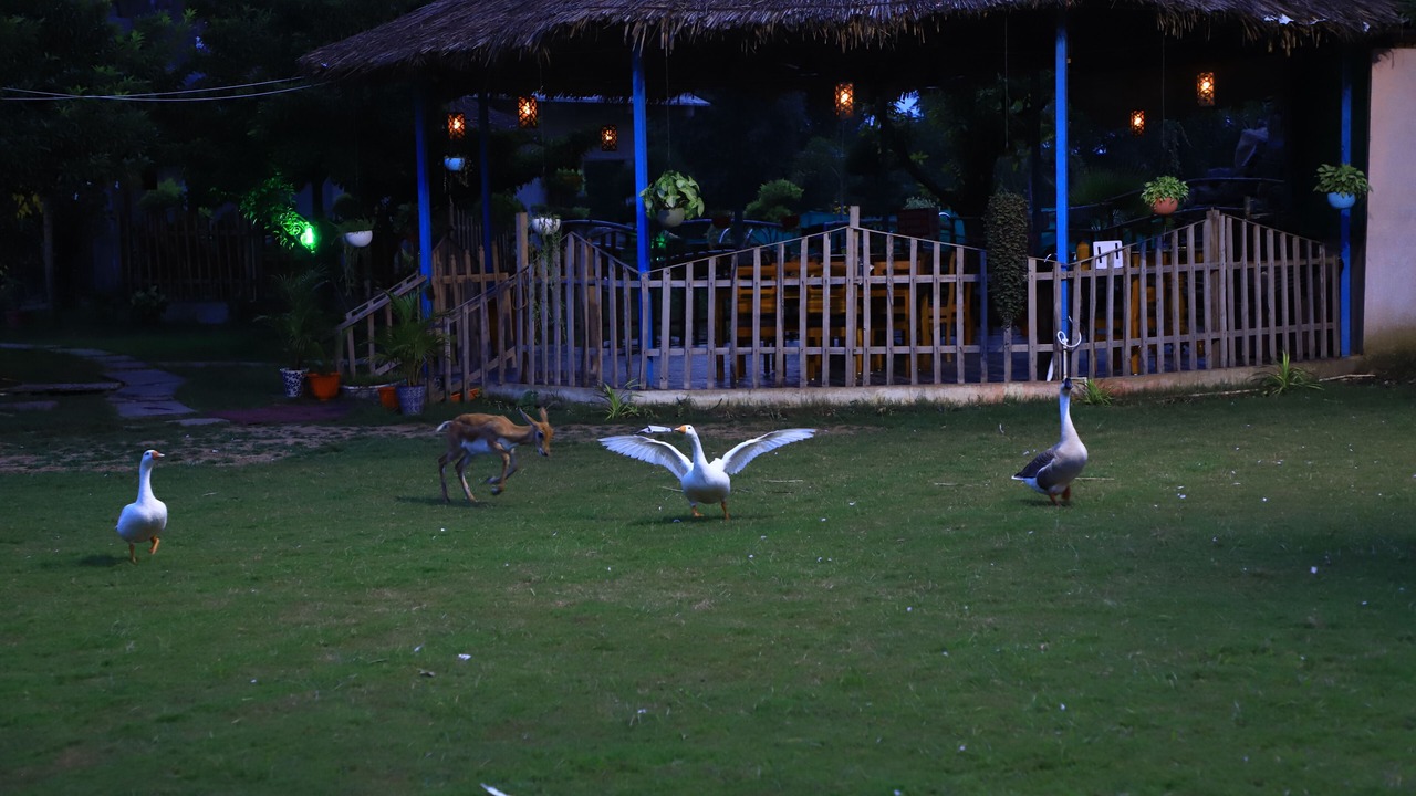 Photo of Outdoor in Delawadi