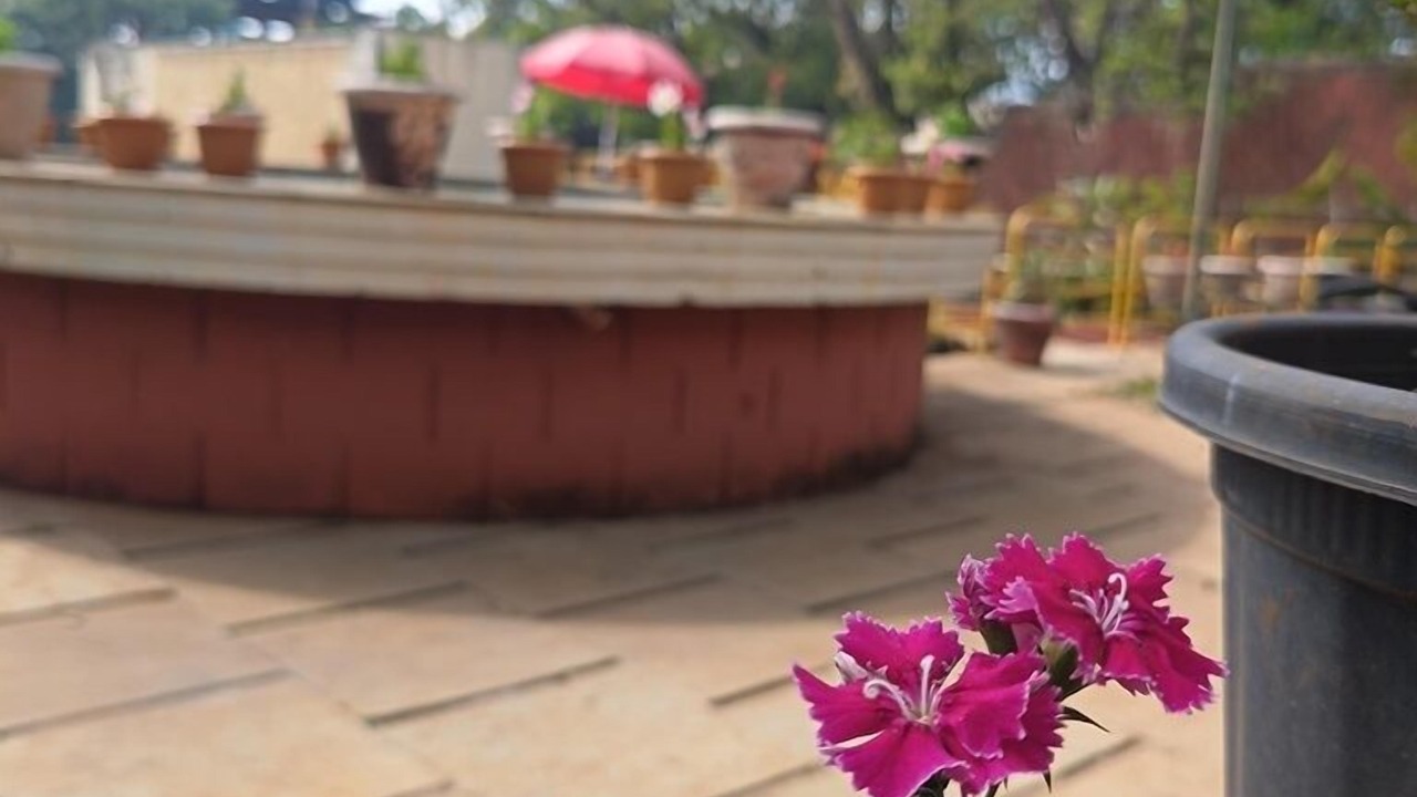 Photo of Outdoor in Mahabaleshwar