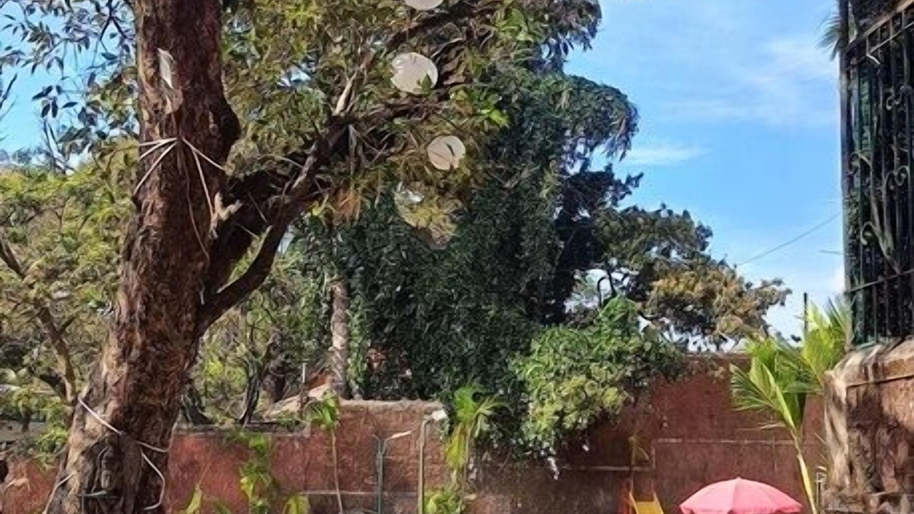 Photo of Outdoor in Mahabaleshwar