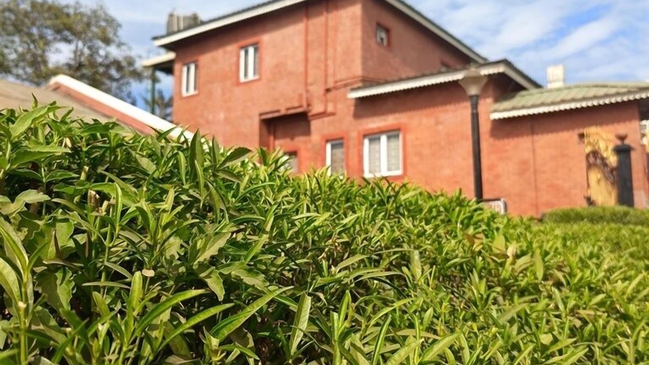 Photo of Outdoor in Mahabaleshwar