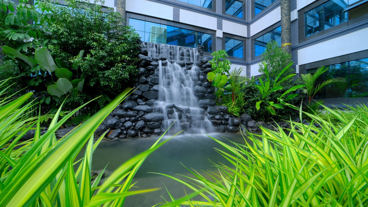 Photo of Outdoor in Chikkamagaluru