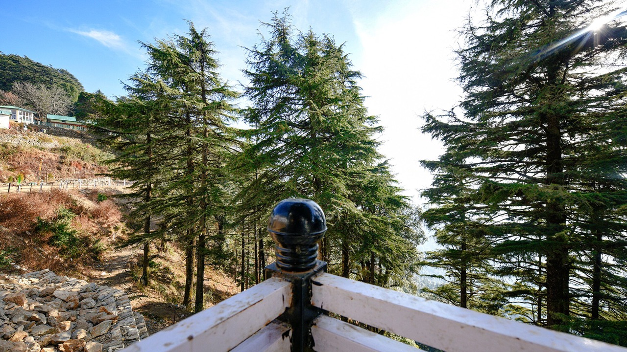 Photo of Patio Balcony in Dhanaulti