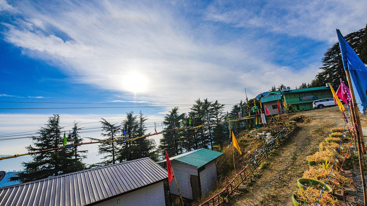 Photo of Others in Dhanaulti
