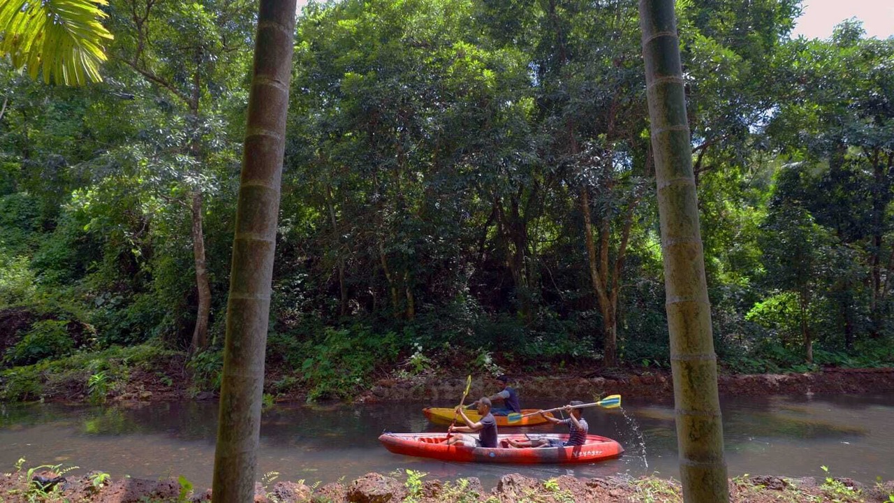 Photo of Outdoor in Agonda