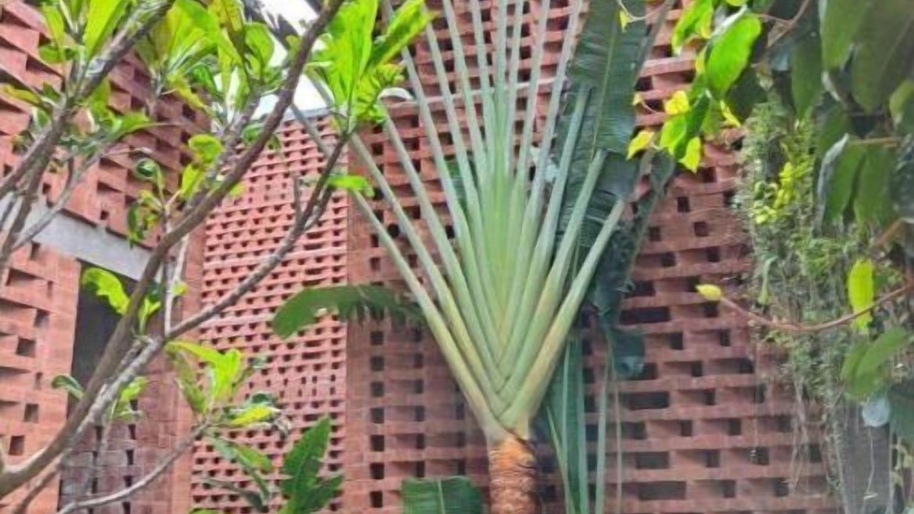 Photo of Outdoor in Kalapettai