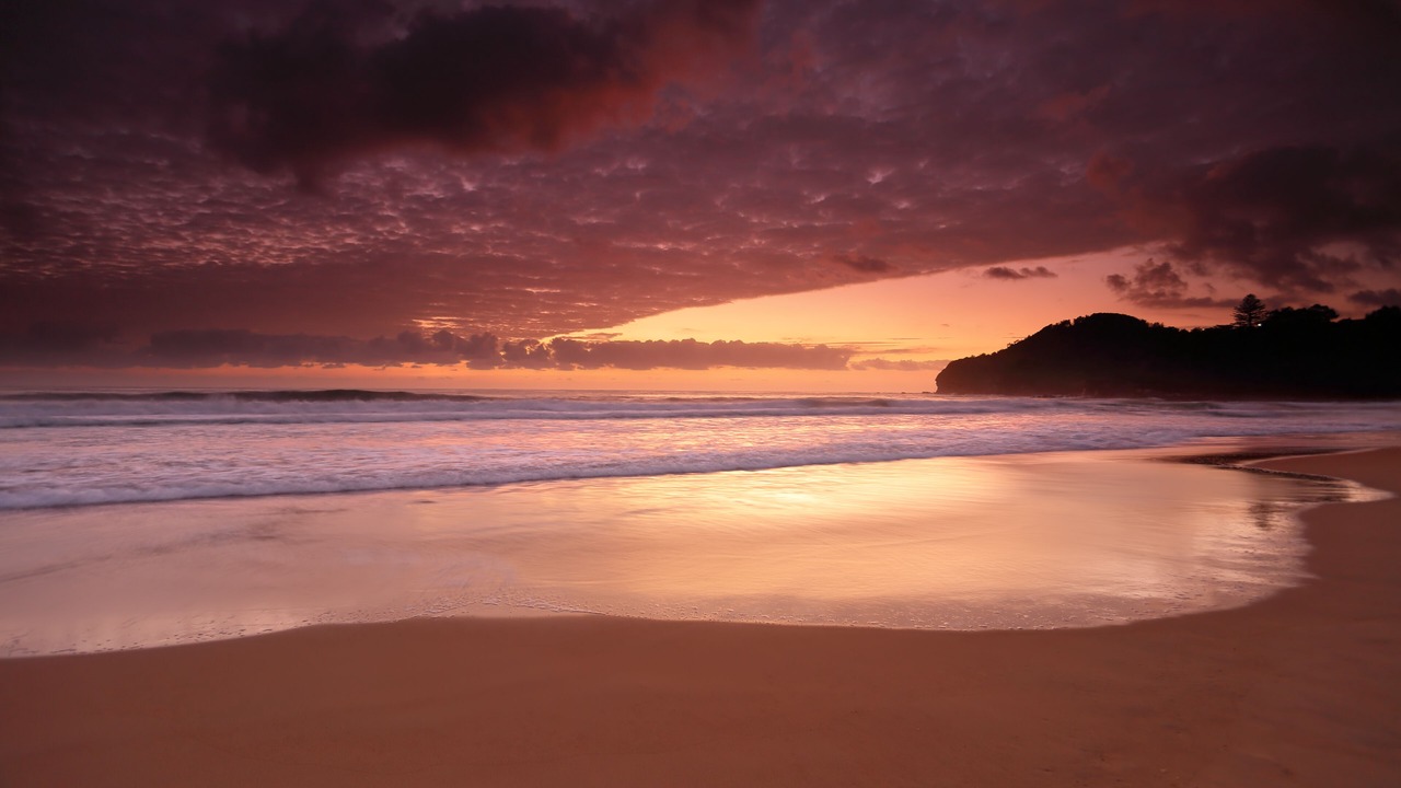 Photo of Others in Warriewood