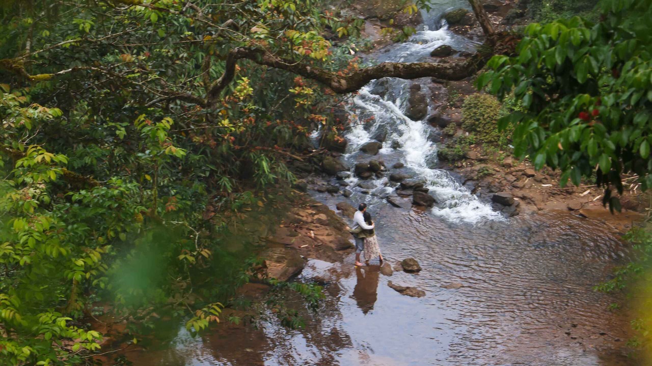 Photo of Outdoor in Devikolam