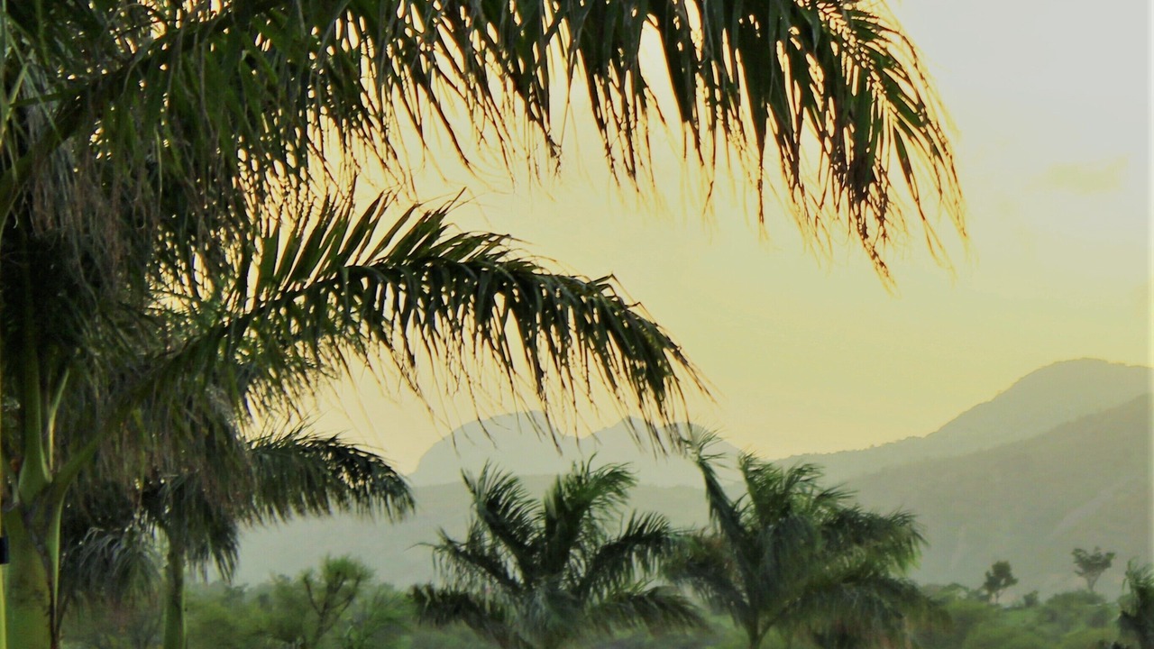 Photo of Others in Bedla