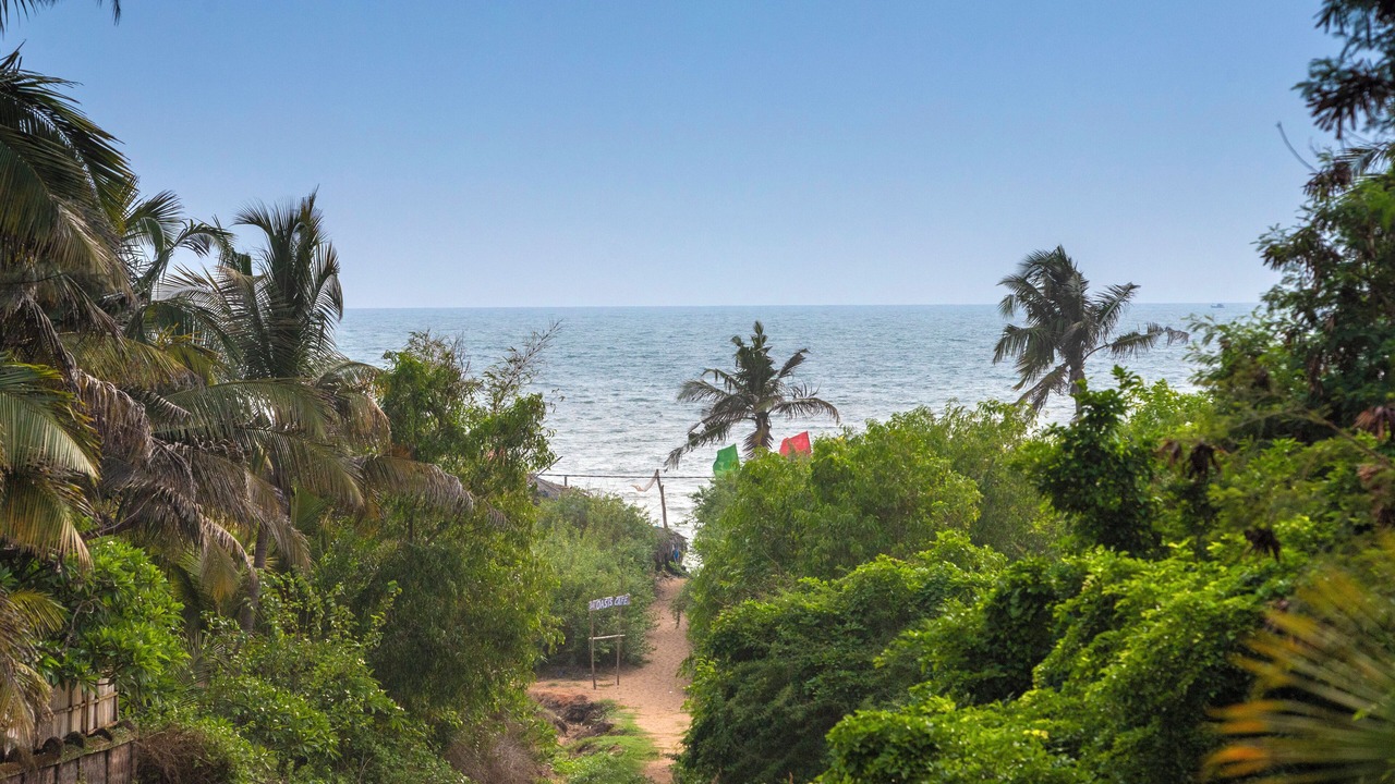Photo of Others in Candolim