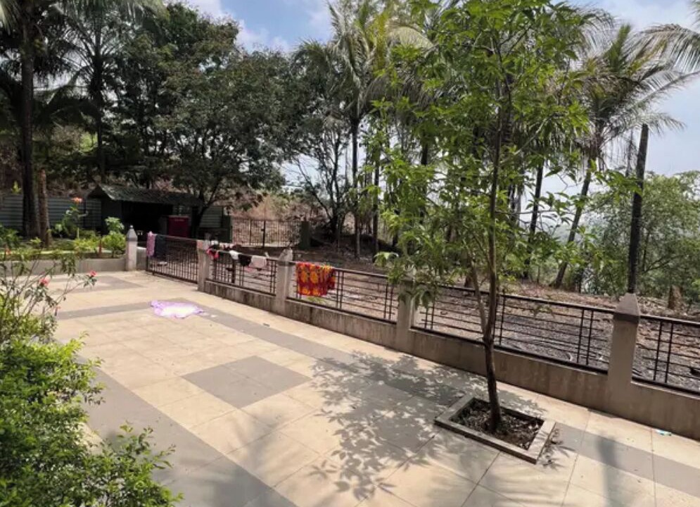 Photo of Outdoor in Pen