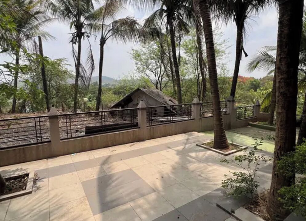 Photo of Outdoor in Pen