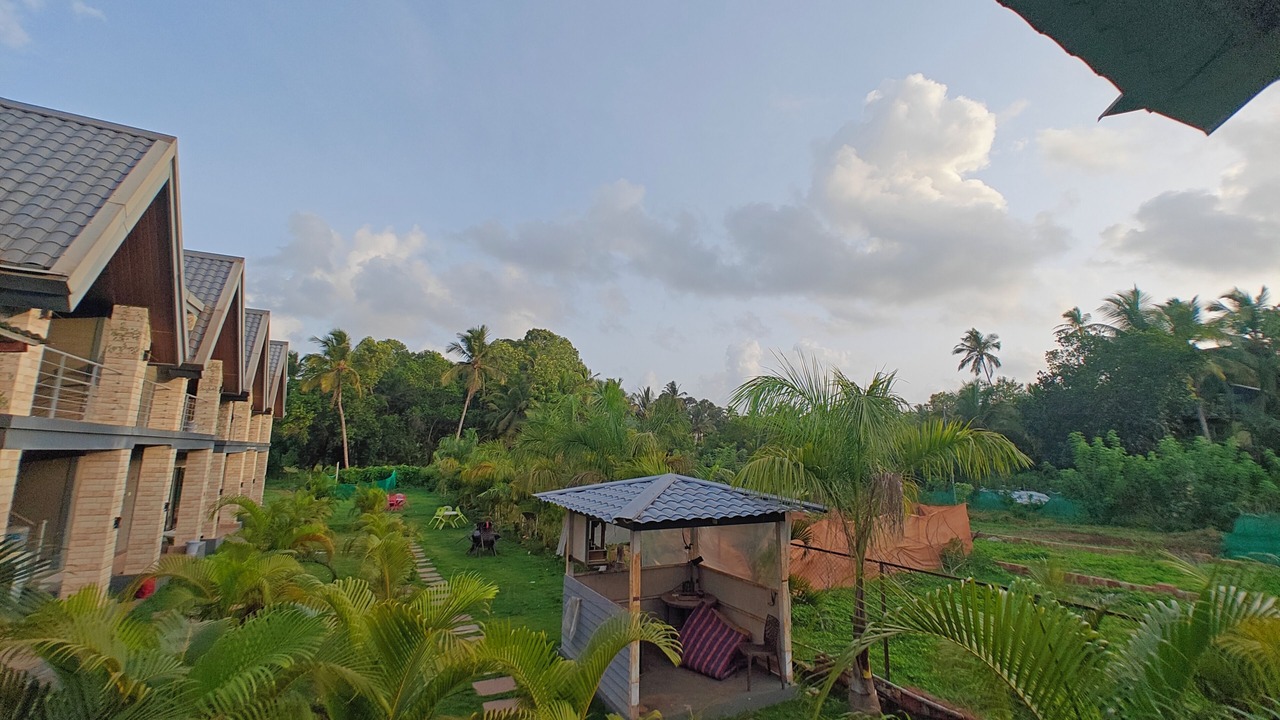 Photo of Outdoor in Arambol