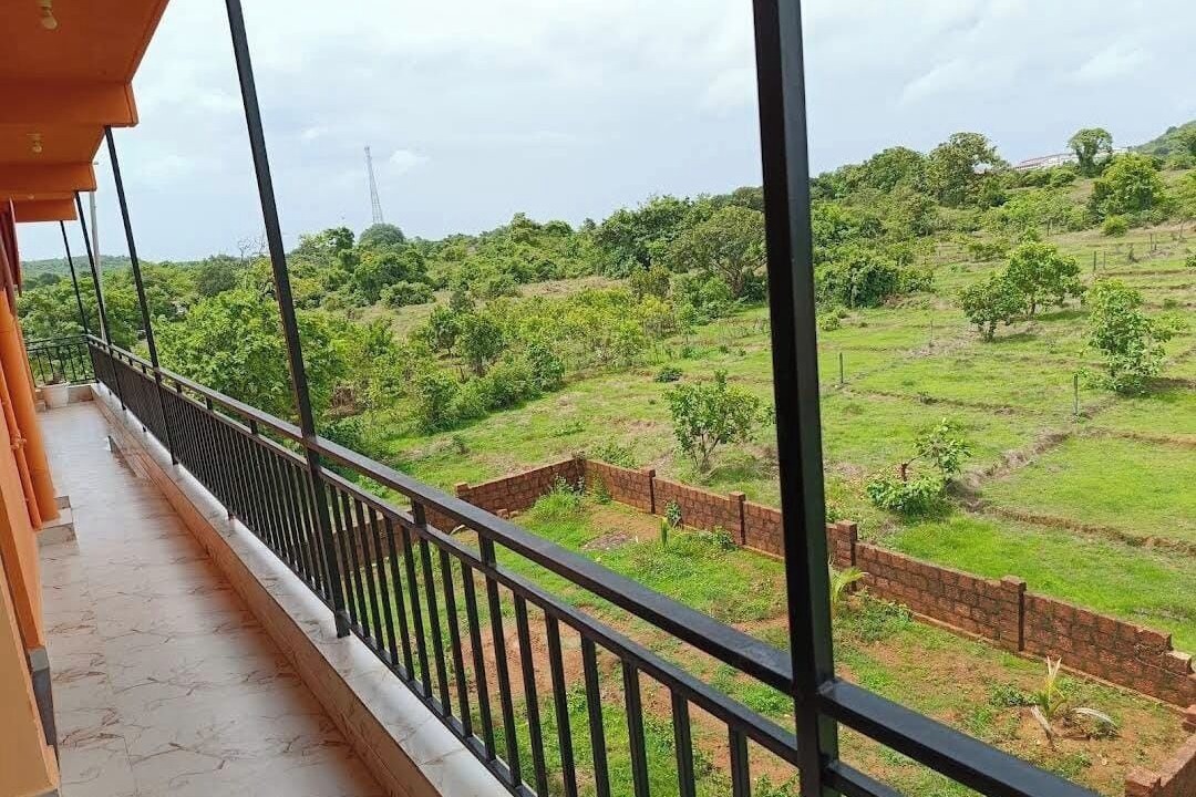 Photo of Outdoor in Arambol
